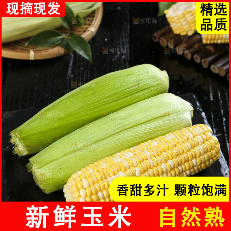 黑底上的云南水果玉米