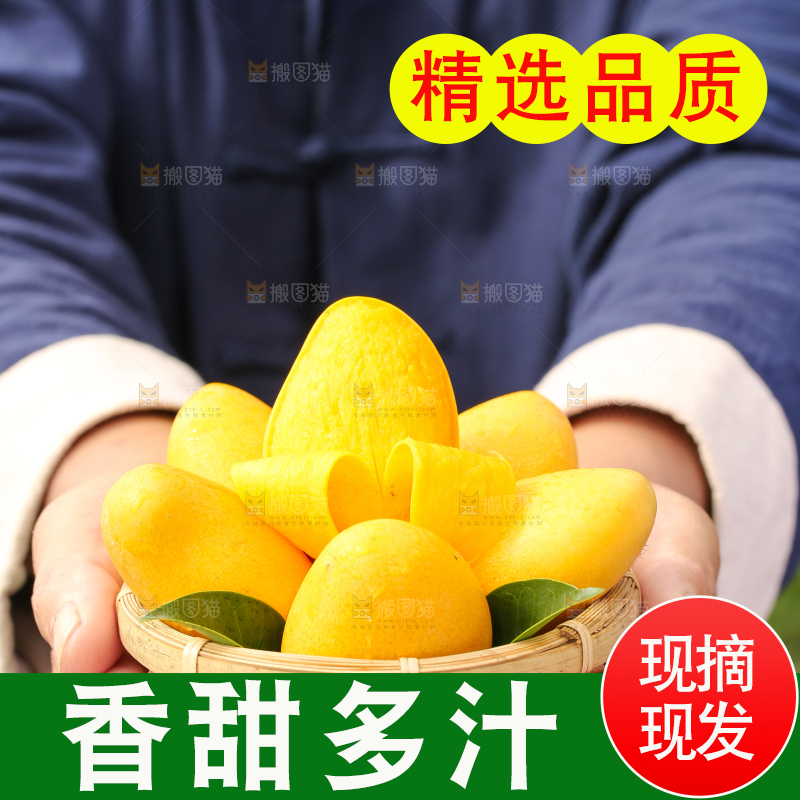 篮子里装着小台农芒