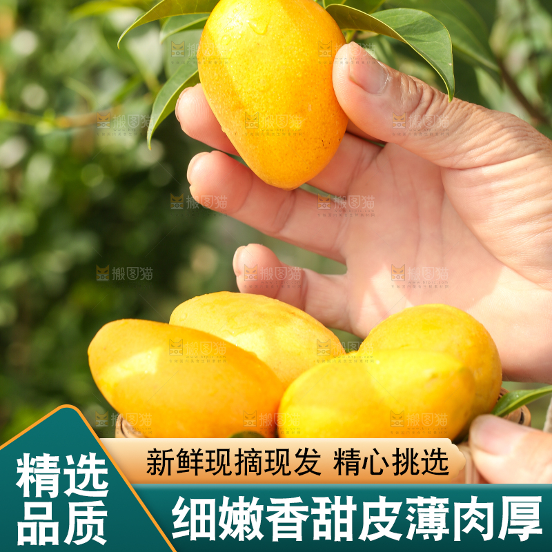 手里拿着小香芒