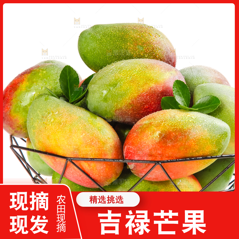 篮子里放着吉禄芒