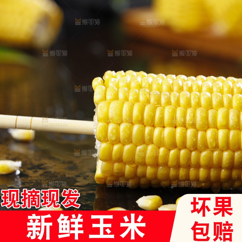 黑石板上的东北玉米