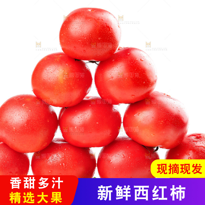 亮底上的新鲜西红柿