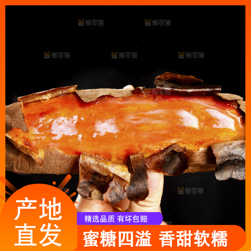 黑底上的山东烟薯