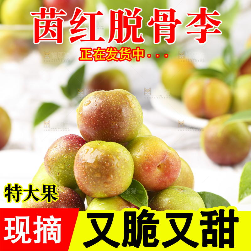 石板上摆放着四川茵红脱骨李