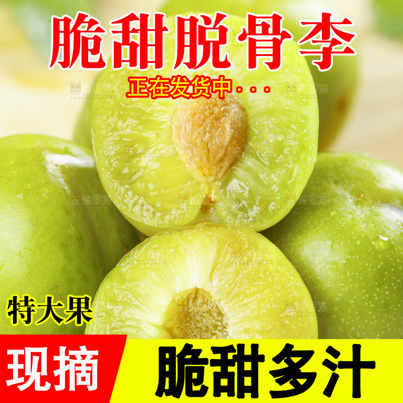 浅底上放着脱骨李