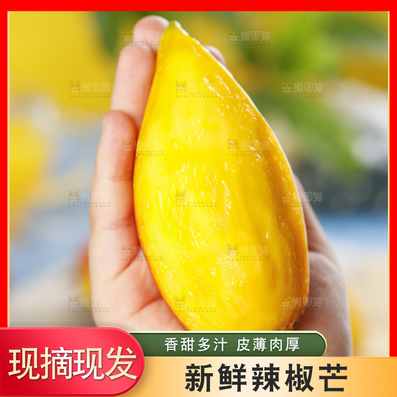 蓝底上的海南辣椒芒
