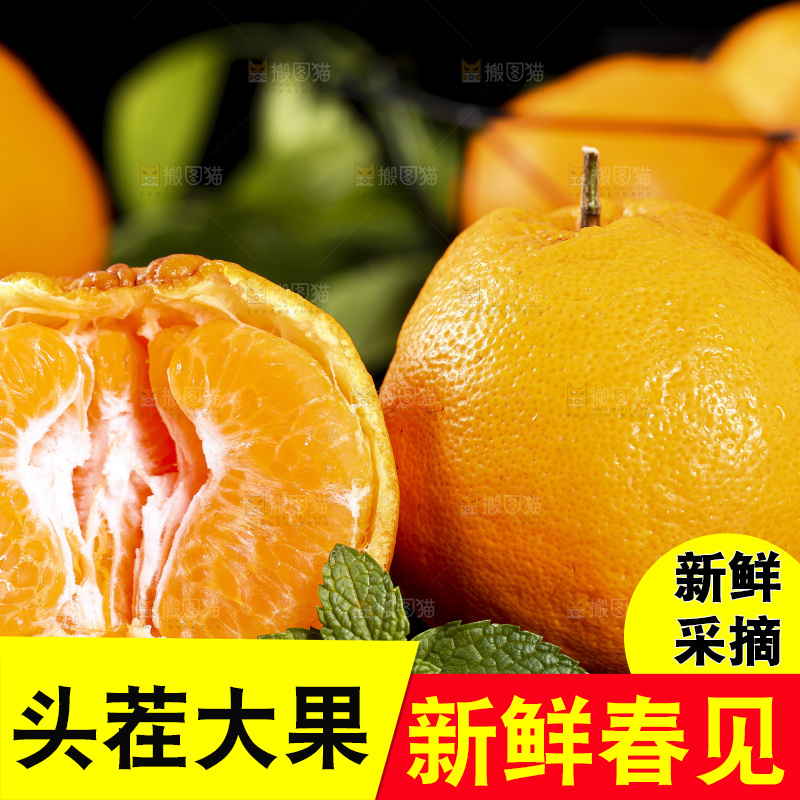石板上摆放着四川春见耙耙柑