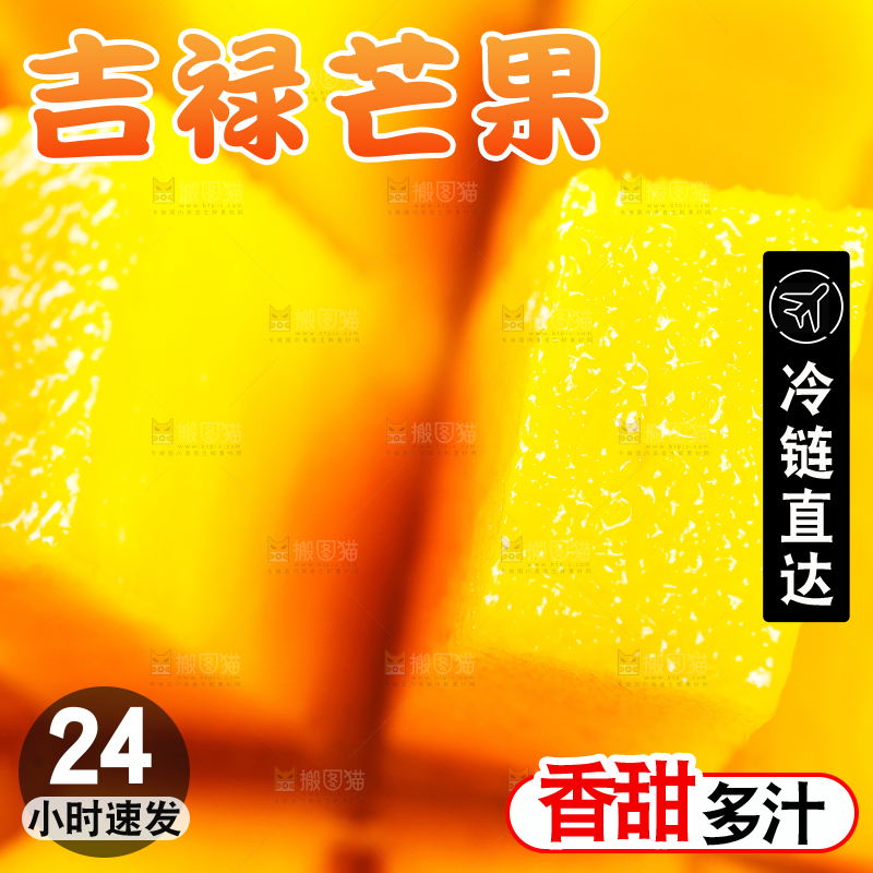 石板上的四川吉禄芒