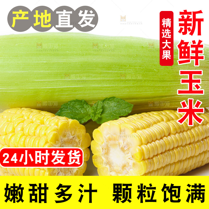 白底上放着新鲜玉米