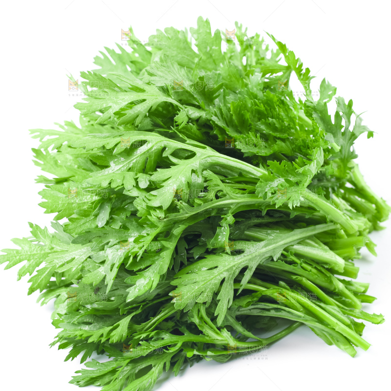 白底上的蓬蒿菜