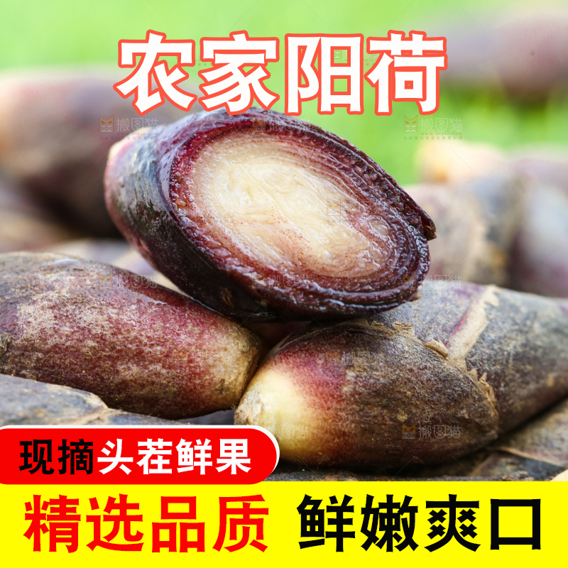 绿草地上摆放着阳荷