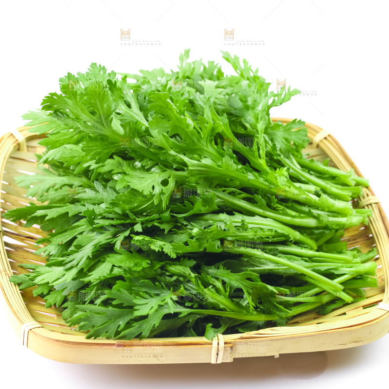 白底上的蓬蒿菜