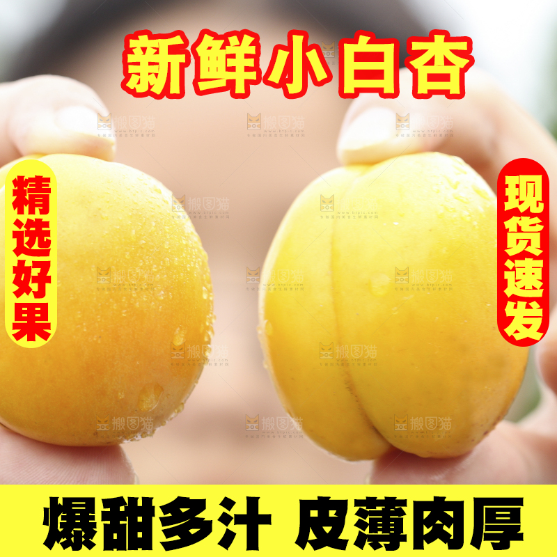 手里拿着小白杏