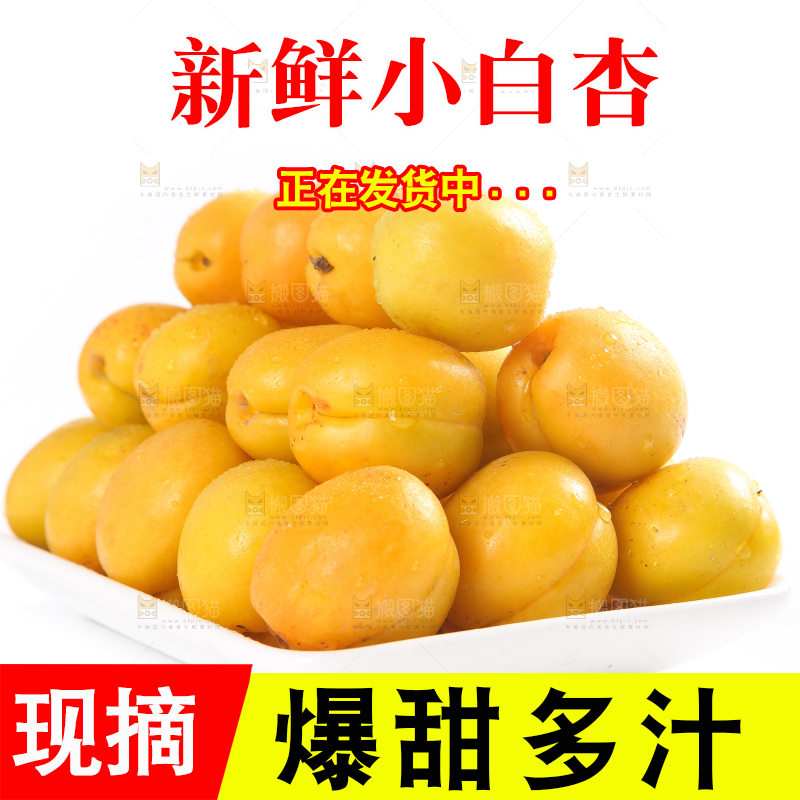 盘子里装着新疆小白杏