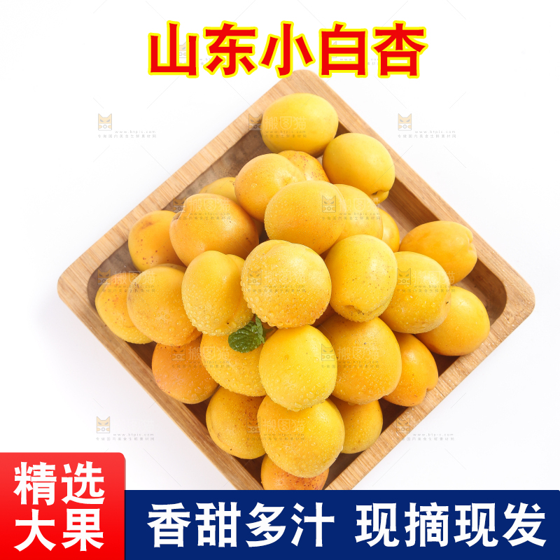 盘子里装着新疆小白杏