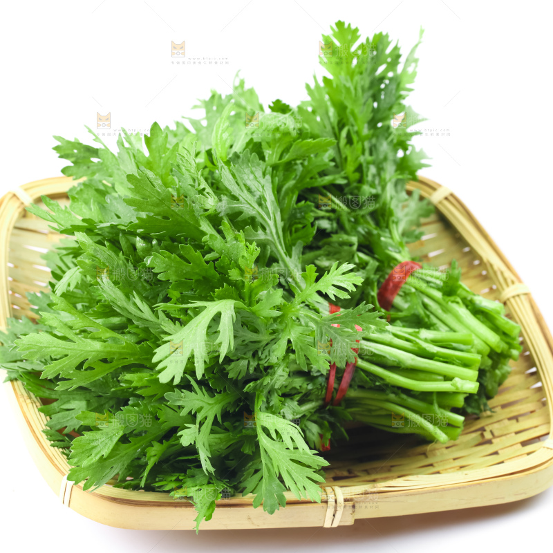 白底上的蓬蒿菜
