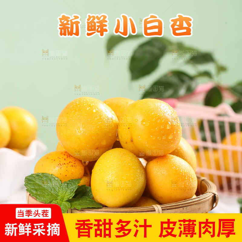 篮子里装着白杏