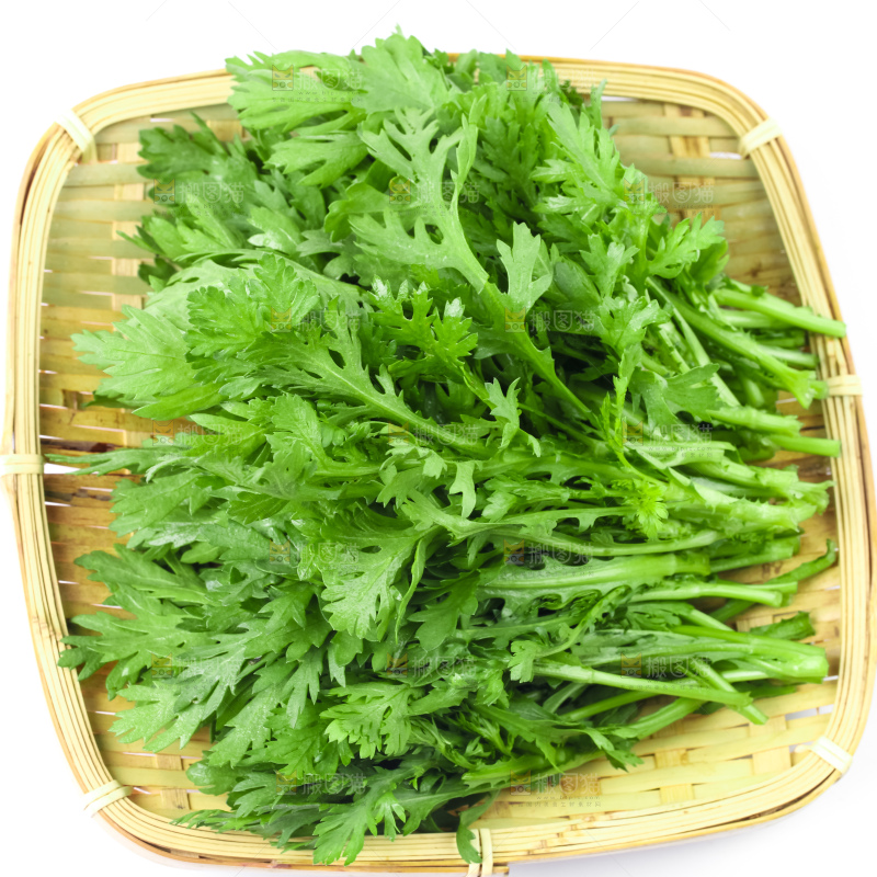 白底上的蓬蒿菜