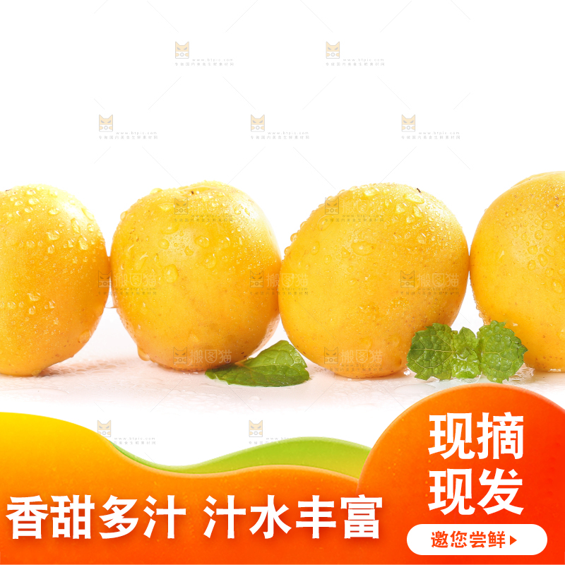 白底上摆放着小白杏