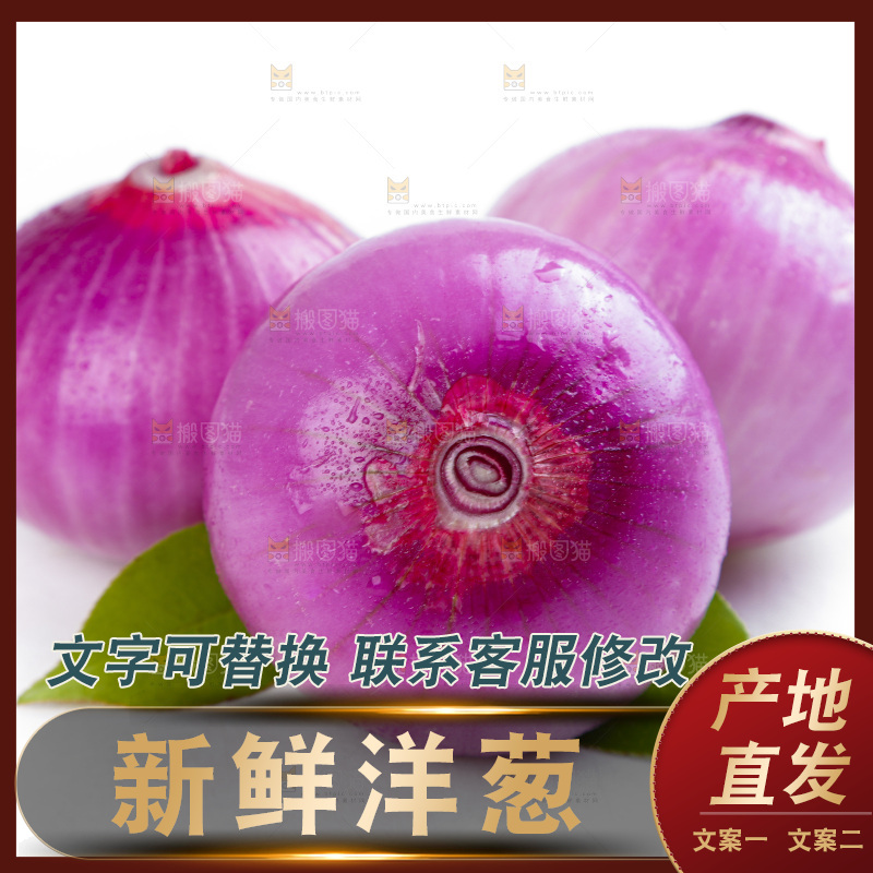 白底上的新鲜洋葱