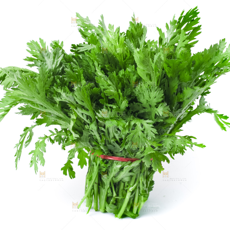 白底上的蓬蒿菜