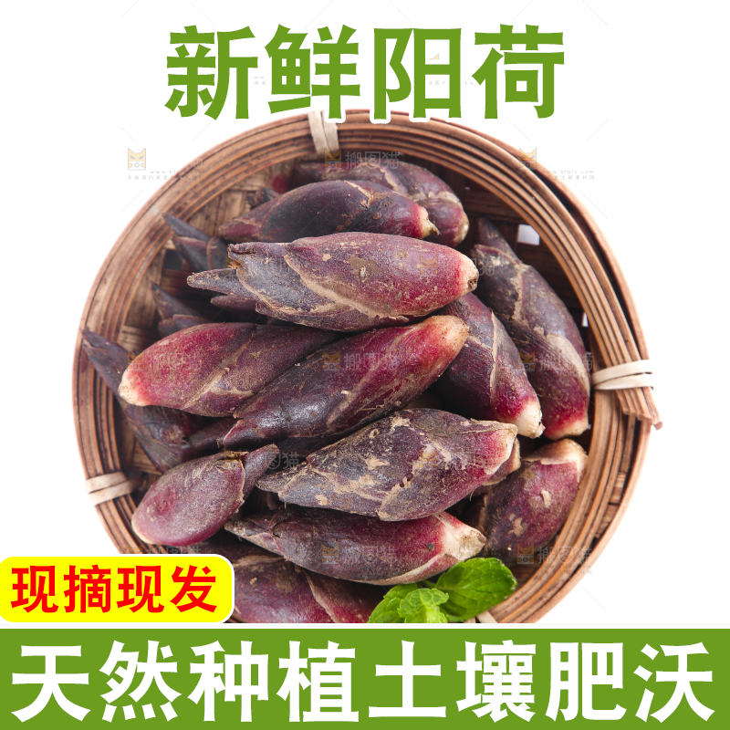 篮子里装着阳荷