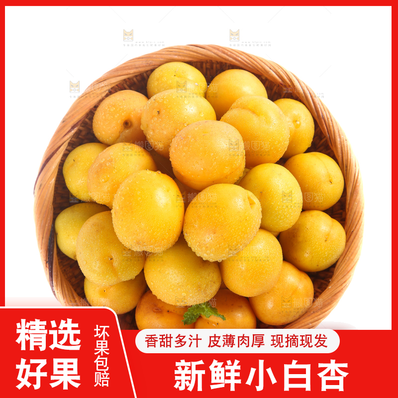 篮子里装着杏子