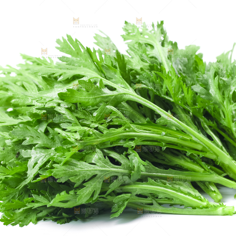 白底上的蓬蒿菜