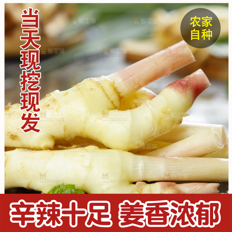 黑石板上放着红芽嫩姜