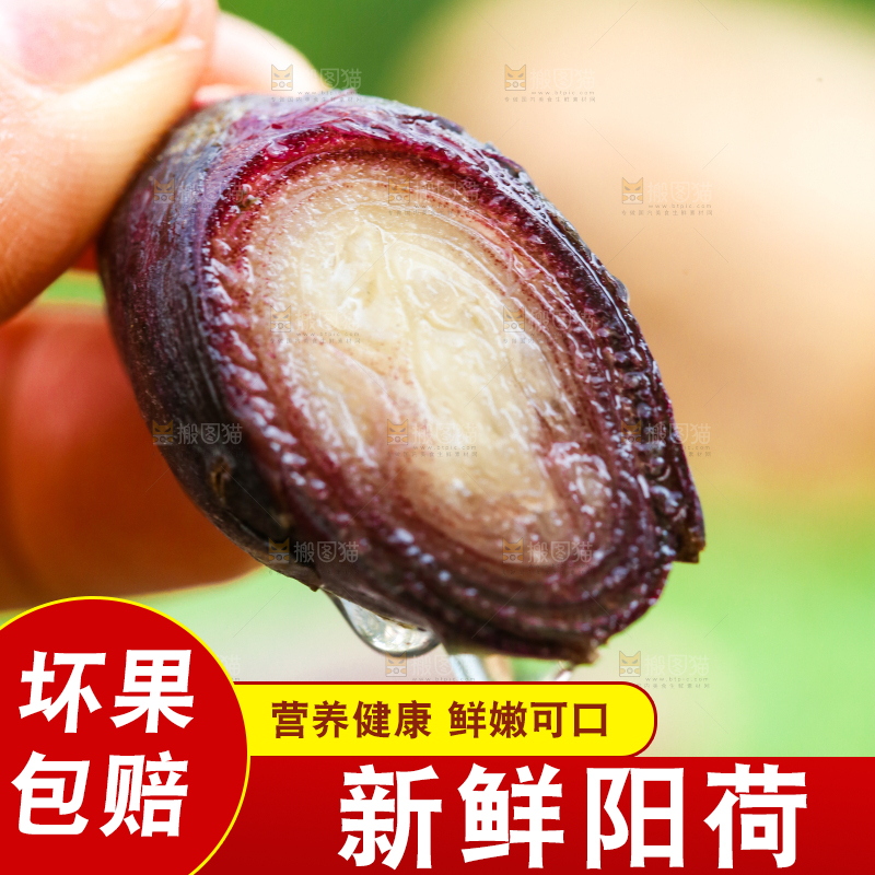 手里拿着洋火姜