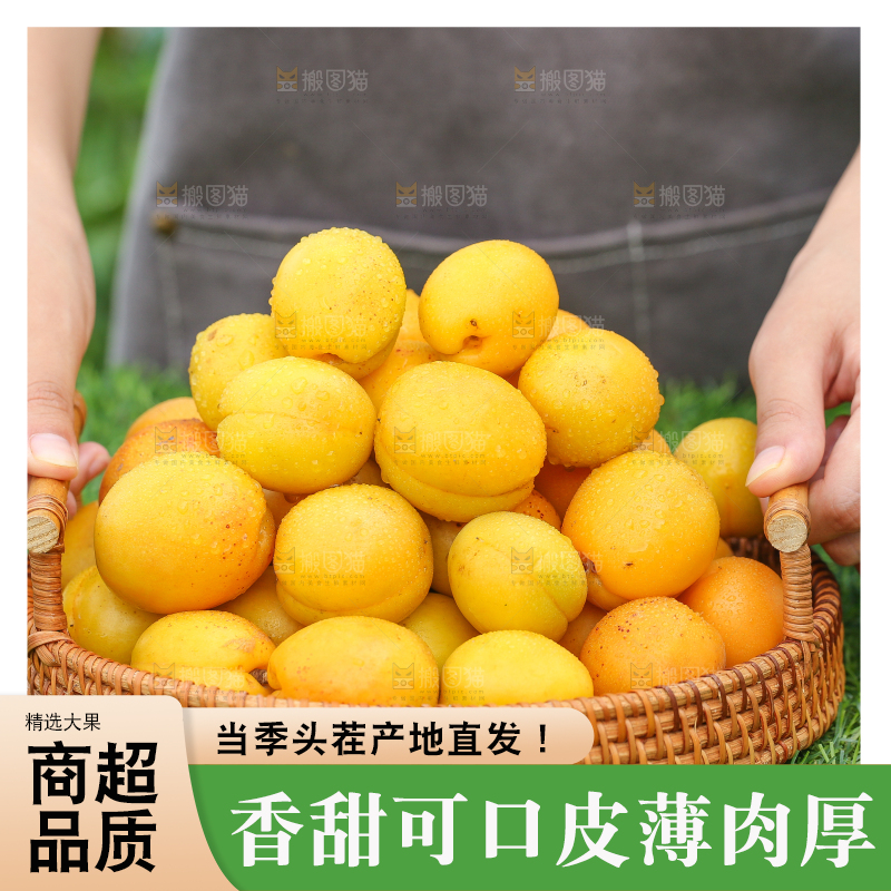 手里拿着一篮新鲜小白杏