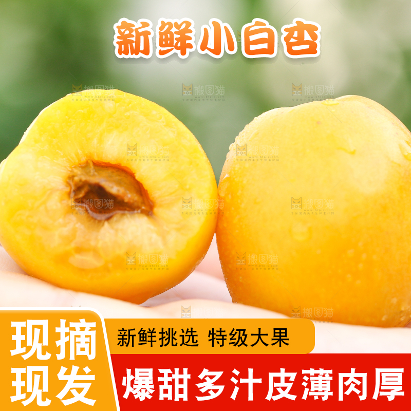 手里拿着杏子