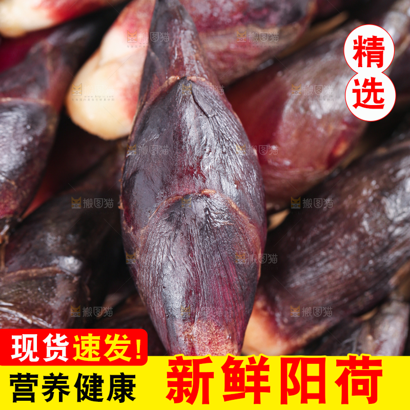 堆放着一堆的贵州新鲜阳荷
