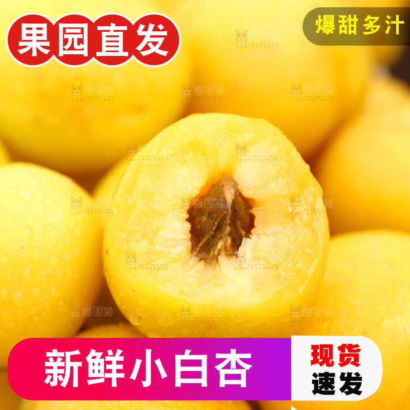 篮子里装着白杏