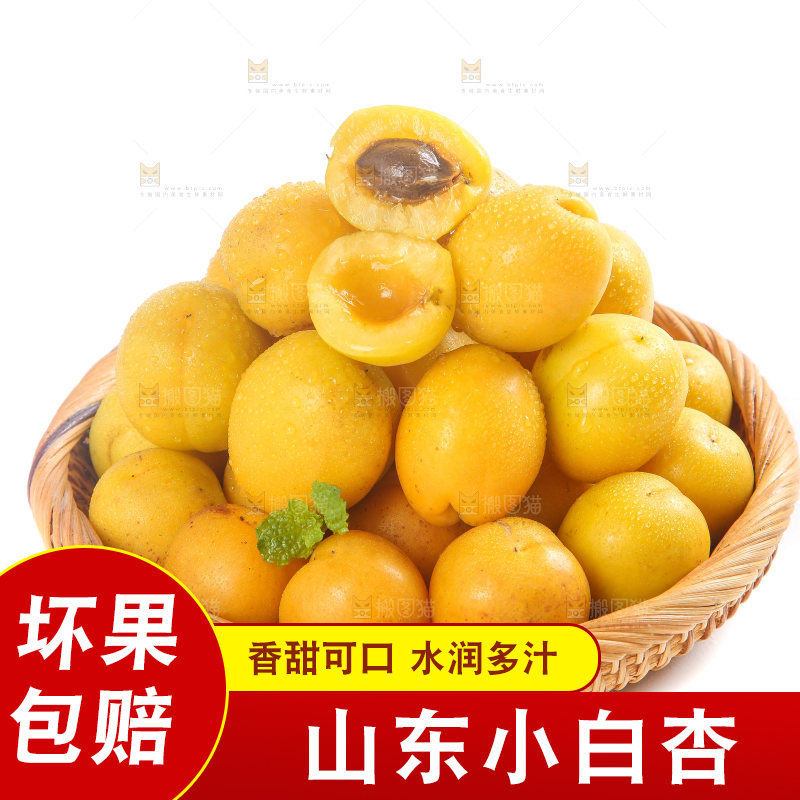 篮子里装着杏子