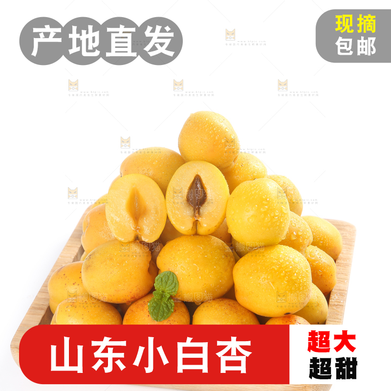 盘子里装着新疆小白杏