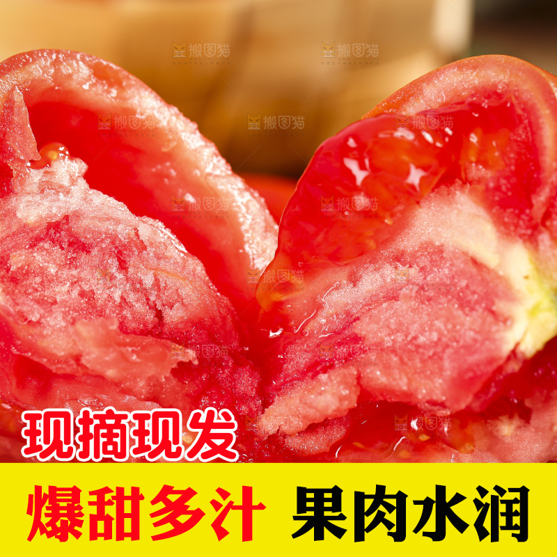 手里拿着米易沙瓤西红柿