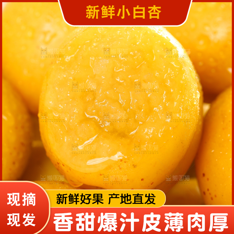 堆放着一堆的小白杏