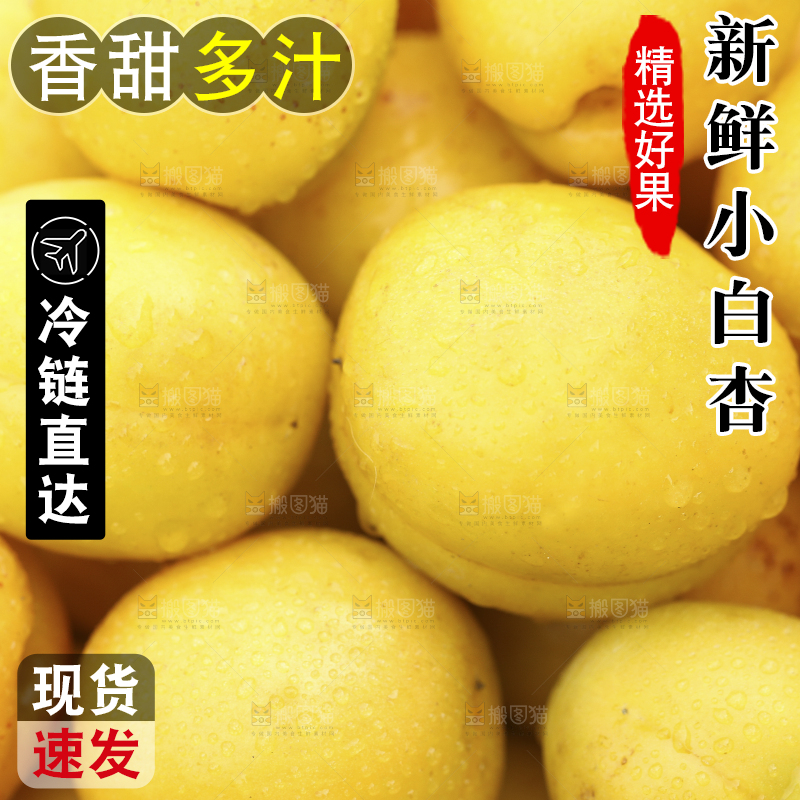 堆放着一堆的小白杏