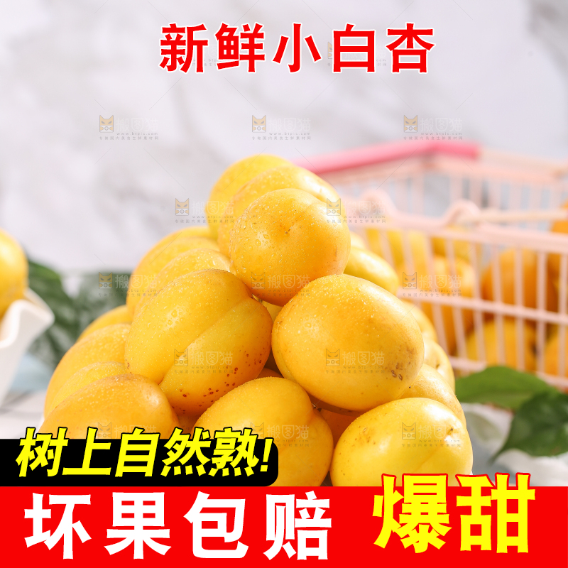 盘子里装着新疆小白杏