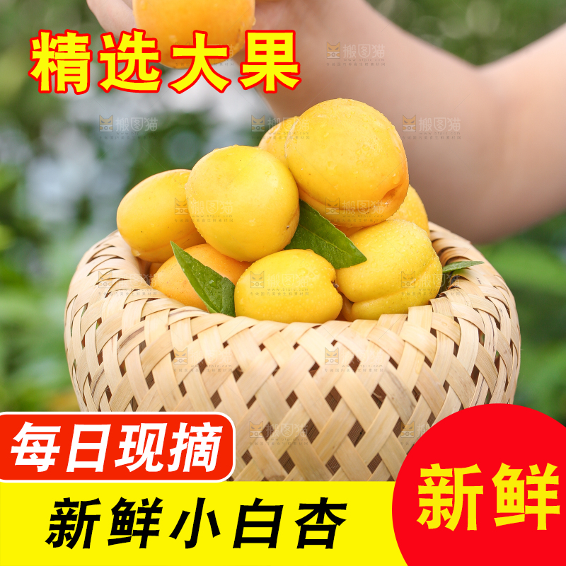 手里拿着一篮新鲜小白杏