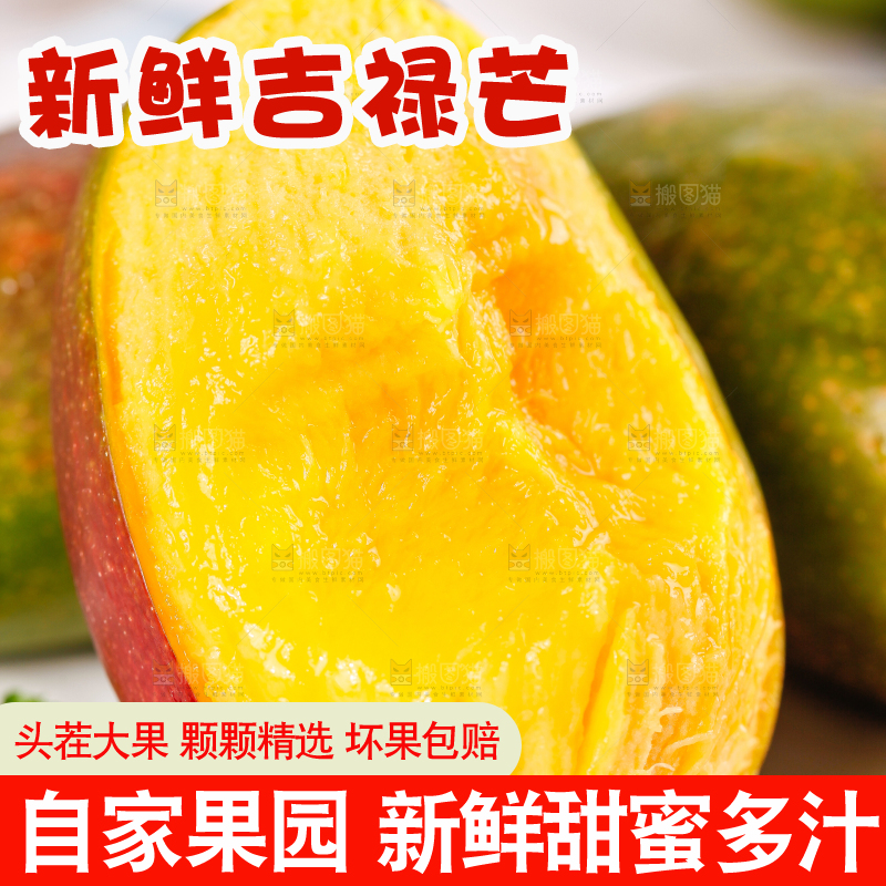 白底上放着吉禄芒