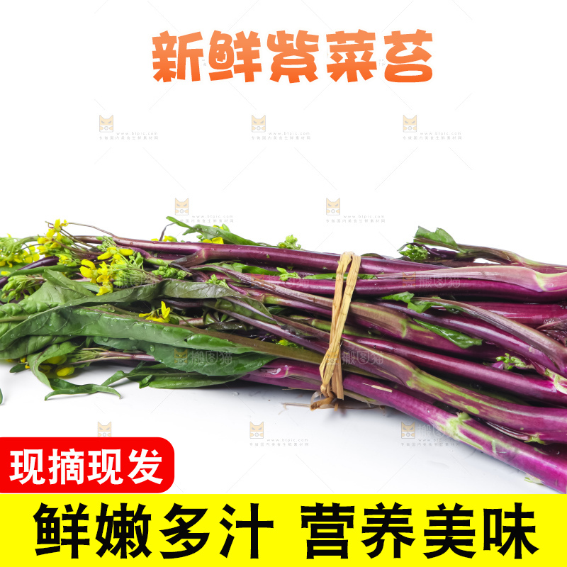白底上的紫菜苔