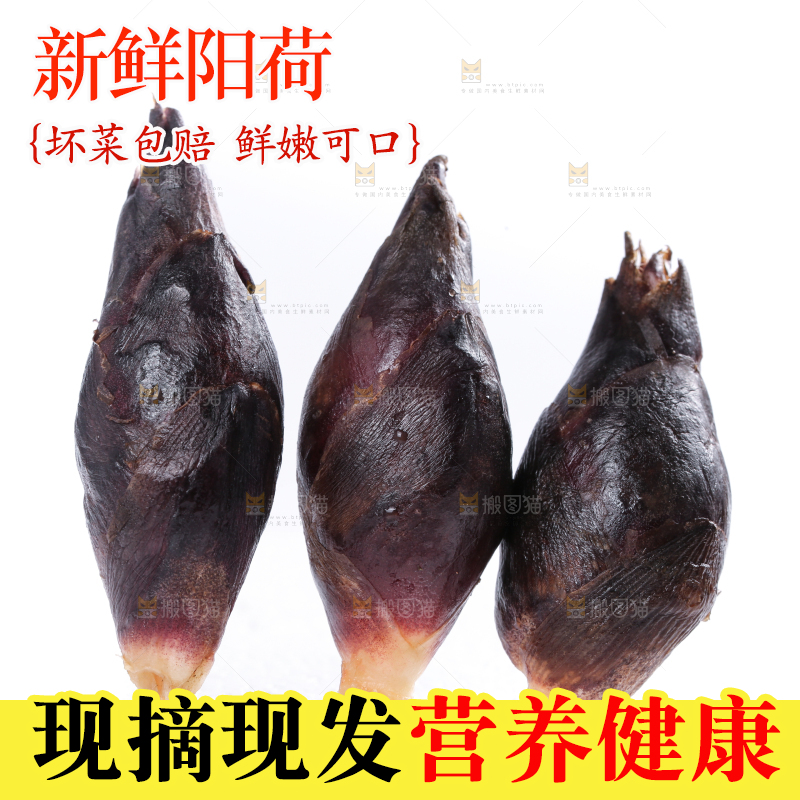 白底上摆放着阳荷姜