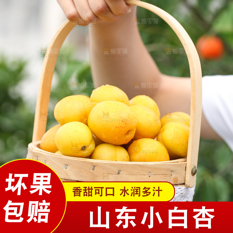 手里拿着一篮库车小白杏
