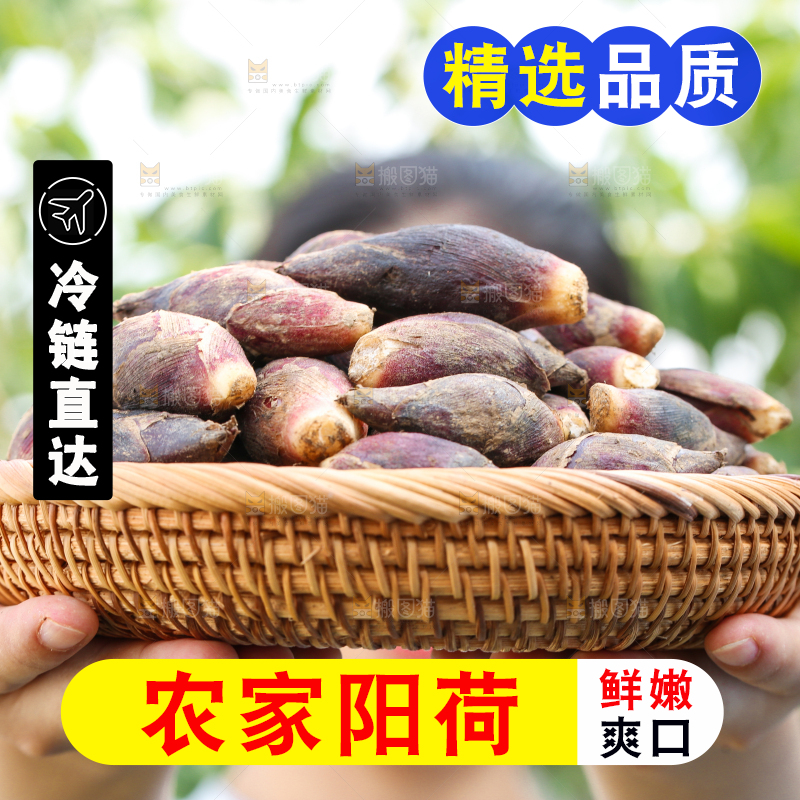 手里端着一篮贵州新鲜阳荷