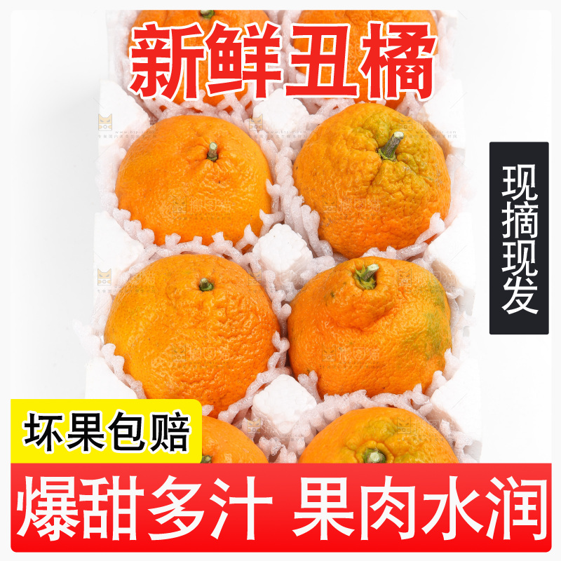 泡沫箱里的丑八怪