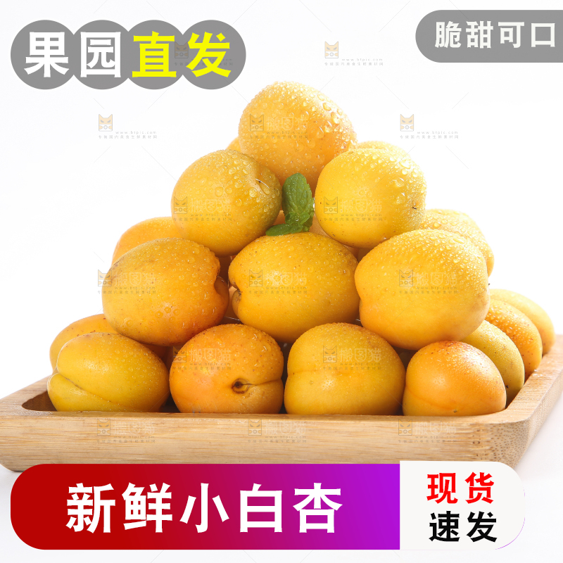 盘子里装着新疆小白杏