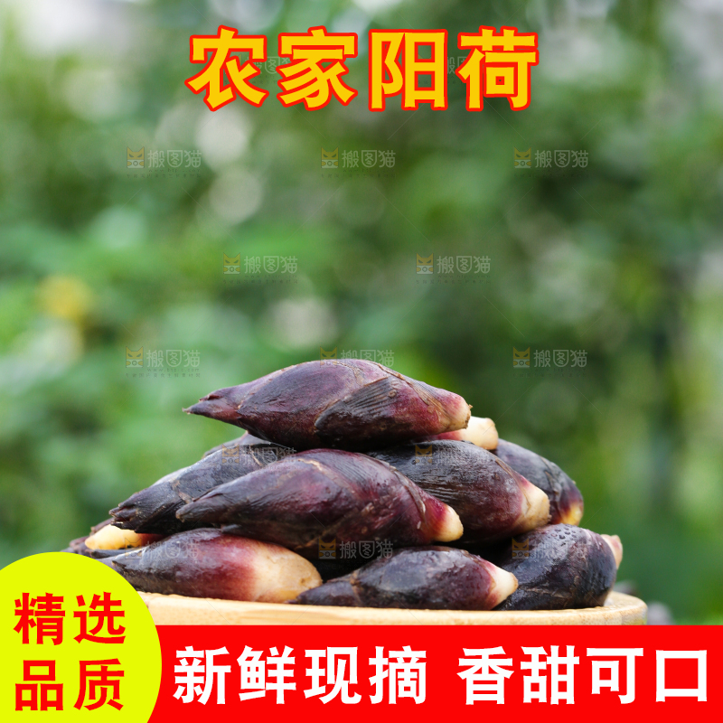 碟子里装着阳荷