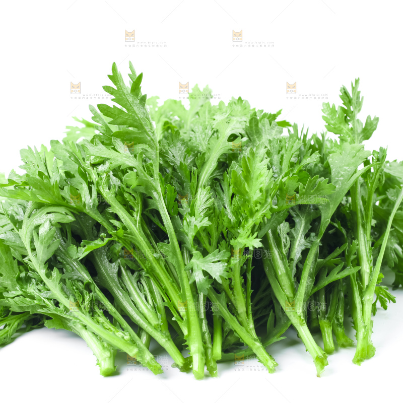 白底上的蓬蒿菜